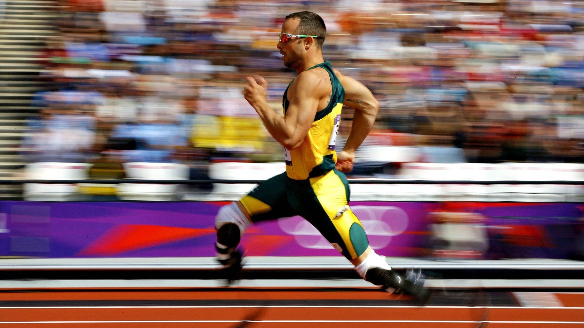 “足球场馆智能化改造助力赛事精彩纷呈”,创意足球场馆